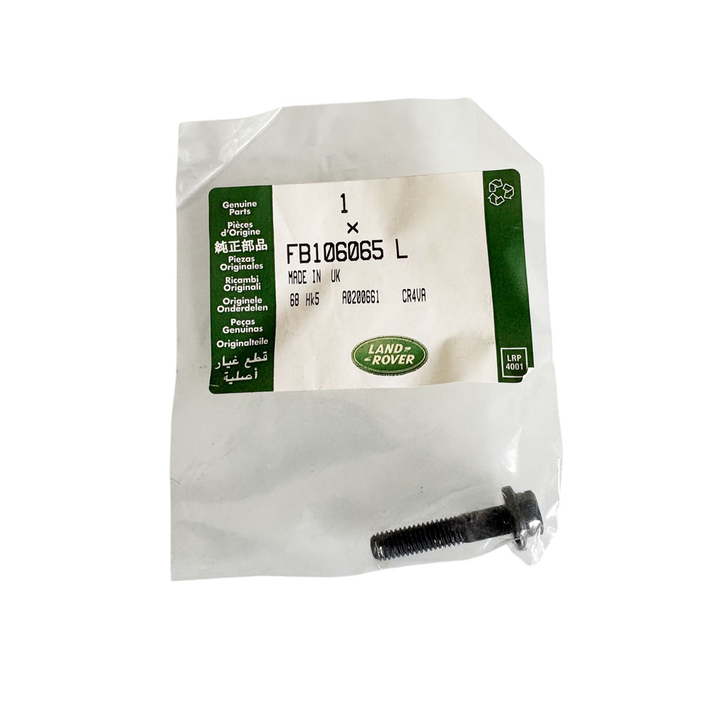 Flanged Head Bolt FB106065L